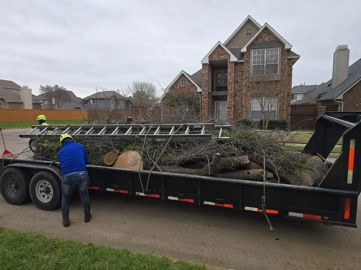 Expert Tree Fertilization with proper safety equipment in Clarksville